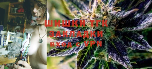 бошки Богданович