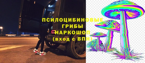 бошки Богданович