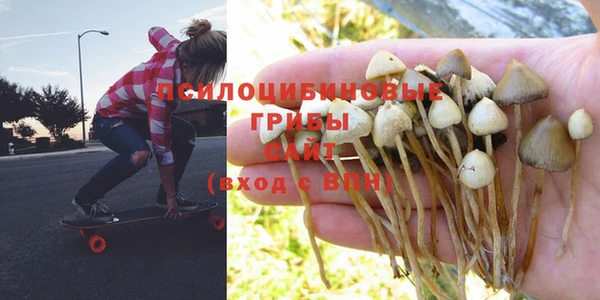 COCAINE Богородицк