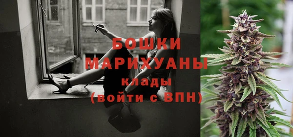 бошки Богданович
