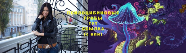 COCAINE Богородицк