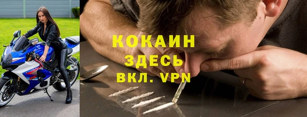 COCAINE Богородицк
