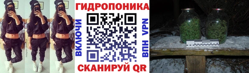 Марихуана ГИДРОПОН  Купить закладки  Гаврилов Посад 